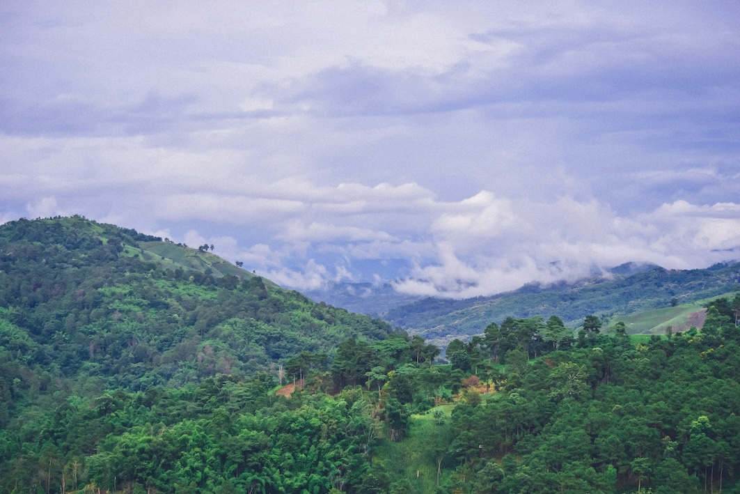 Chiang Rai